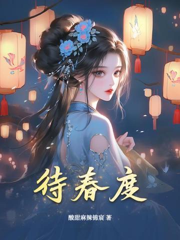 钢铁火药和施法者封面