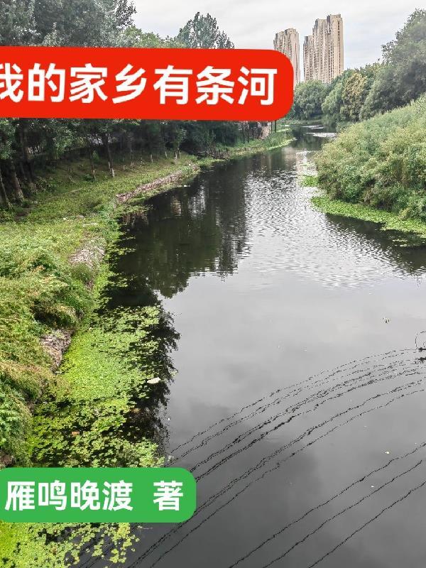 娇娇一巴掌封面