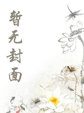 绝对契合完整版封面