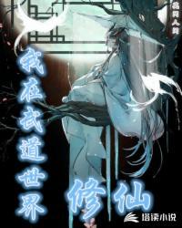 巫师大领主封面