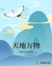 熵池:我们是高维宇宙的肾封面
