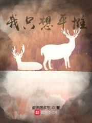 木叶之电气大师封面