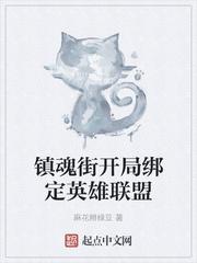 林丰叶瑾封面