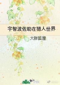 沈子程封面